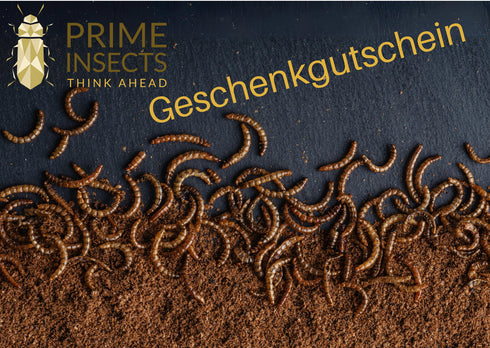 PrimeInsects - Geschenkgutschein