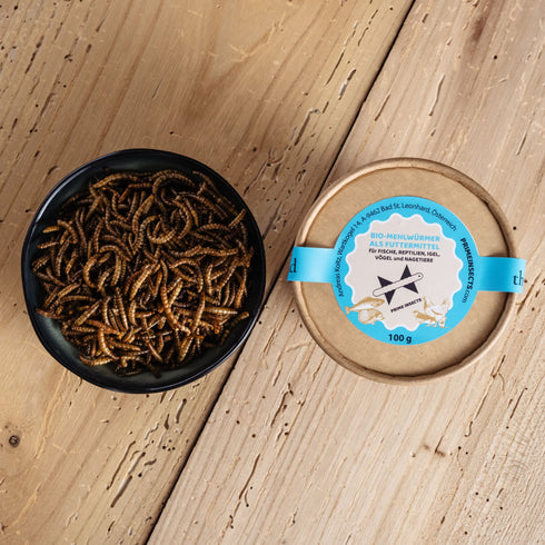Bio-Mehlwürmer als Futtermittel