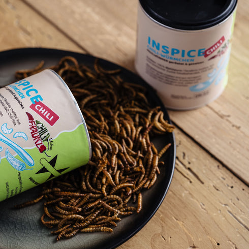 INSPICE Chili